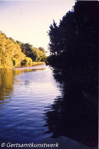 Lake evening in June