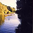 Lake evening in June