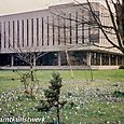 Library and crocuses