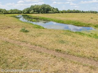 Dorney Common