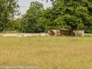 Bucolic