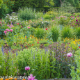 Flower beds