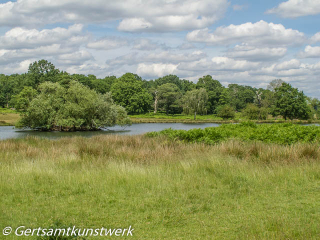 Ponds from a distance June