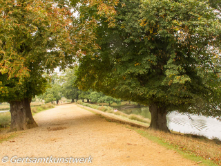 Ponds in September