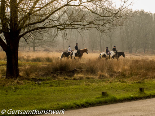 Horse riding March