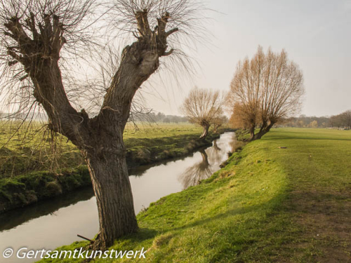 Brook in March