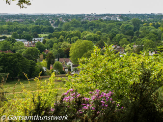 Henry's Mound view June