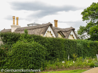 Thatch at Pembroke Lodge June