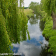 Beverley Brook