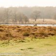 Cyclists at Pen Ponds 