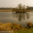 Early spring Pond island 