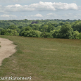 Forested view