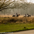 Horse riding