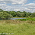 Ponds from a distance 