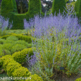 Squares of lavender