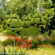 Topiary