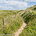 Dune walk