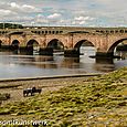 Berwick bridges