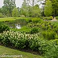 Pond life