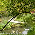 Water gardens