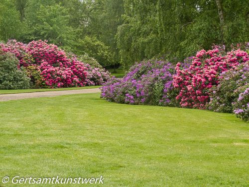 Pink and purple