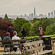 Horniman view