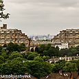 View from Horniman Hill