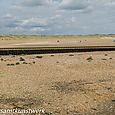 Camber Sands