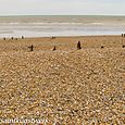 Groynes