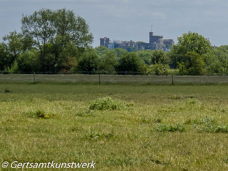 Castle view