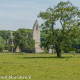 Newark ruins