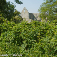 Priory ruin