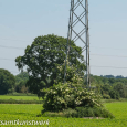 Pylon growth