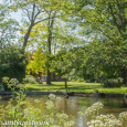 Riverside garden