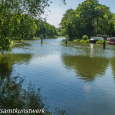 Walsham weir