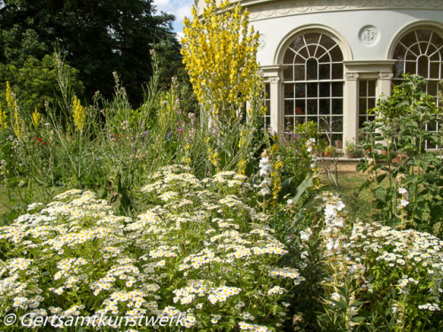 White garden