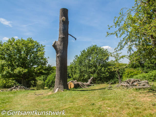 Totem tree June Totem tree June