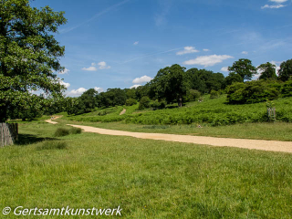 Country path June