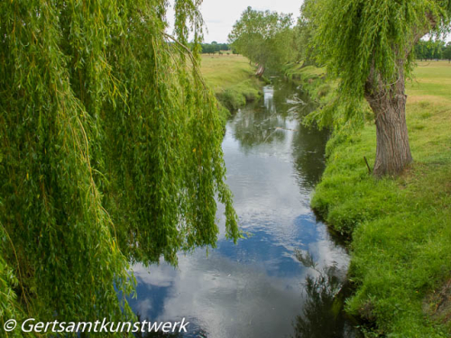 Beverley Brook June