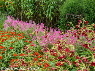 Shades of red and pink