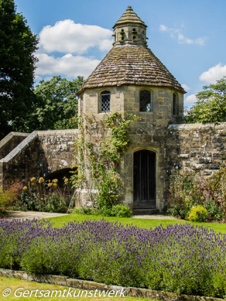 Lavender and tower