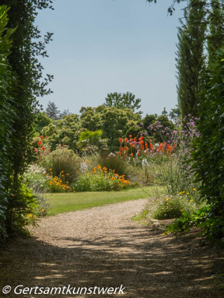 Path flowers