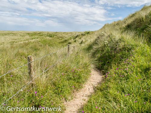 Dune walk