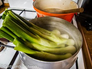 Spring onions