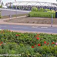 Stadium flowers