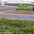 Stadium flowers