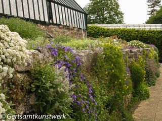 Alpine ledge