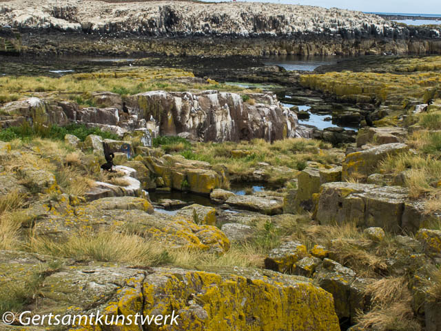 Rock pools