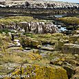 Rock pools