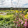 Jekyll garden